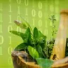Episode 8 - Traditional medicine as a dataset (پزشکی سنتی به منزله یک مجموعه داده)