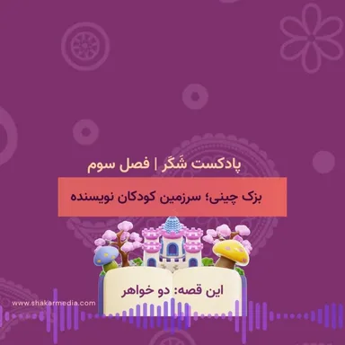 فصل سوم؛ بزک‌چینی