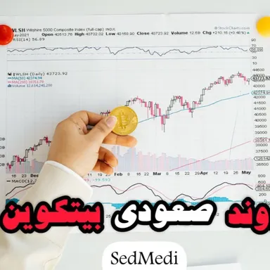 اپیزود دهم(برشی از کتاب روند صعودی بیتکوین)